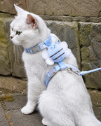 BuzzWalk Cat Harness & Lead Set by Scooth Pet