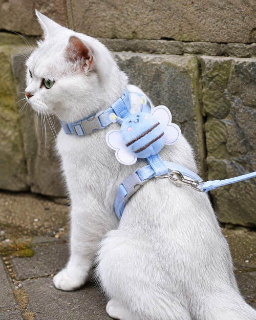 BuzzWalk Cat Harness & Lead Set by Scooth Pet