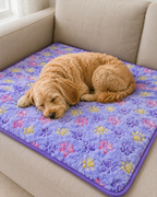 CloudNest Ultra-Soft Pet Blanket by Scooth Pet