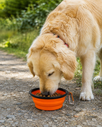 TrailSip Collapsible Travel Bowl by Scooth Pet