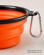 TrailSip Collapsible Travel Bowl by Scooth Pet