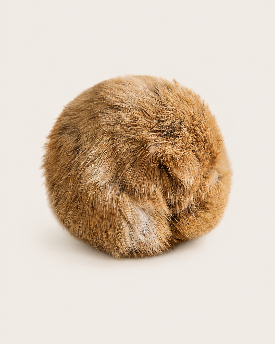 BunnyBounce Fur Cat Toy by Scooth Pet