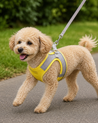CloudFit Comfort Harness by Scooth Pet