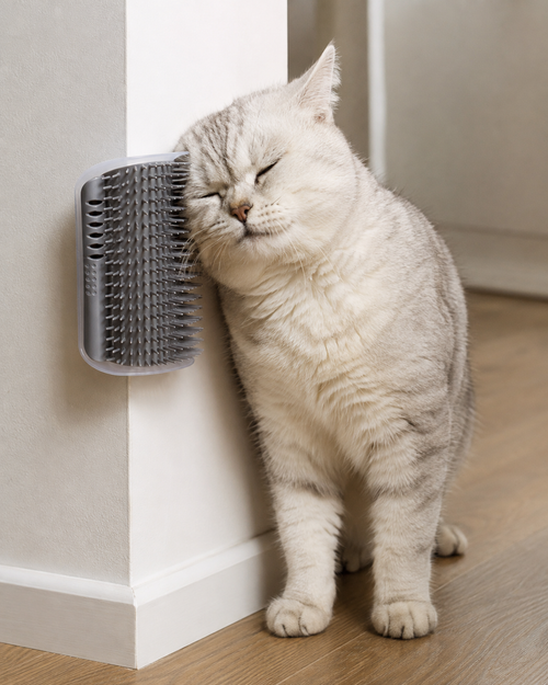 CornerSpa Self-Grooming Cat Brush by Scooth Pet