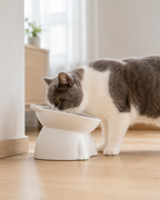 WhiskerLift Elevated Pet Bowl by Scooth Pet