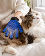 PawSpa Grooming Glove by Scooth Pet