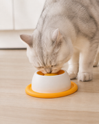 LickiBowl Slow Feeder Bowl by Scooth Pet