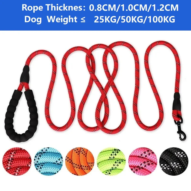 TrailGuard™ Reflective Dog Lead by Scooth Pet