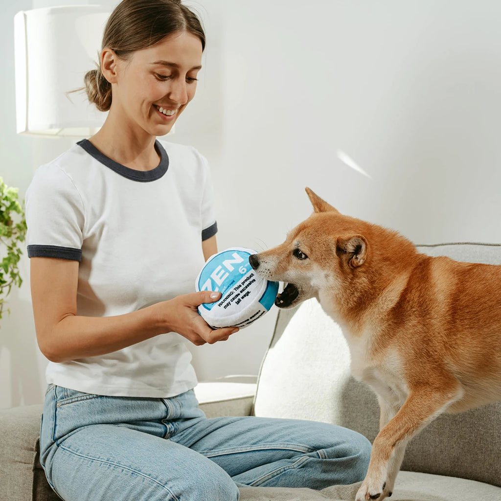 Zen Pupper Deckies Parody Dog Toy - Plush Squeaky and Crinkle Funny Dog Toy - Drool Mint