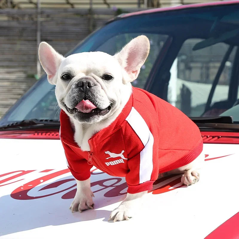 VarsityPaws™ Baseball Dog Jacket by Scooth Pet