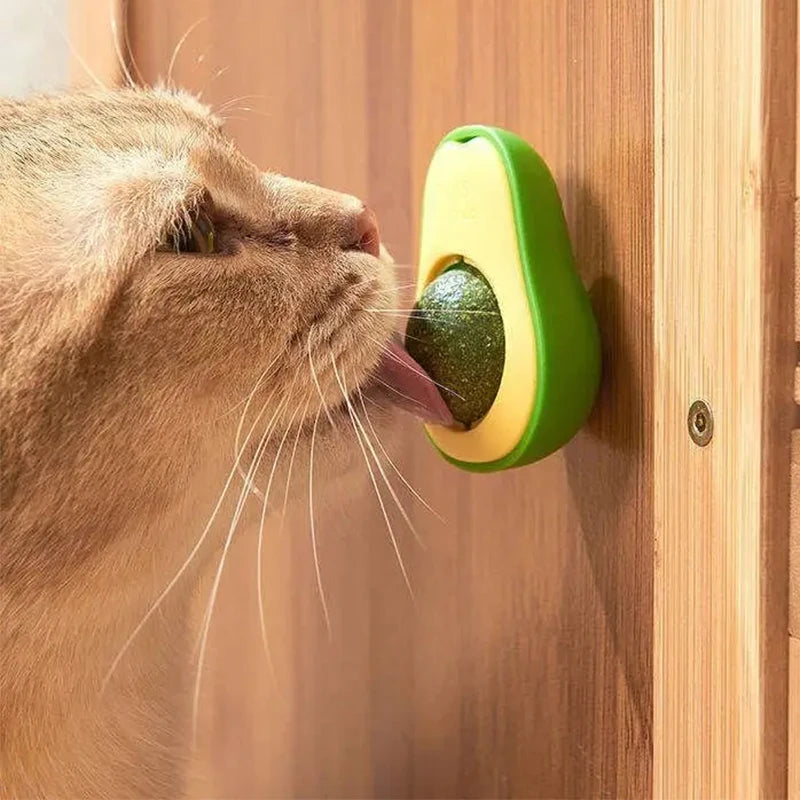 PurrMint™ Catnip Wall Ball by Scooth Pet