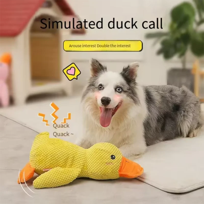 QuackBuddy™ Comfort Squeaky Duck by Scooth Pet