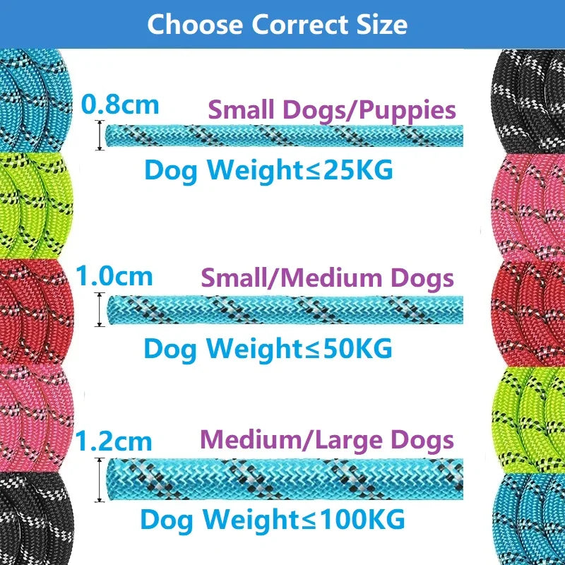TrailGuard™ Reflective Dog Lead by Scooth Pet
