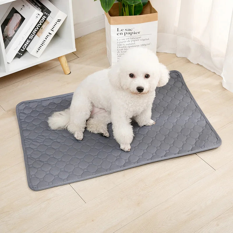 DryPaws™ Reusable Waterproof Training Pad by Scooth Pet