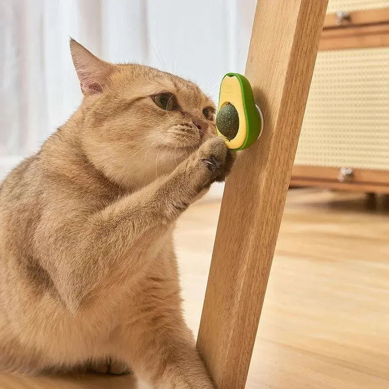 PurrMint™ Catnip Wall Ball by Scooth Pet
