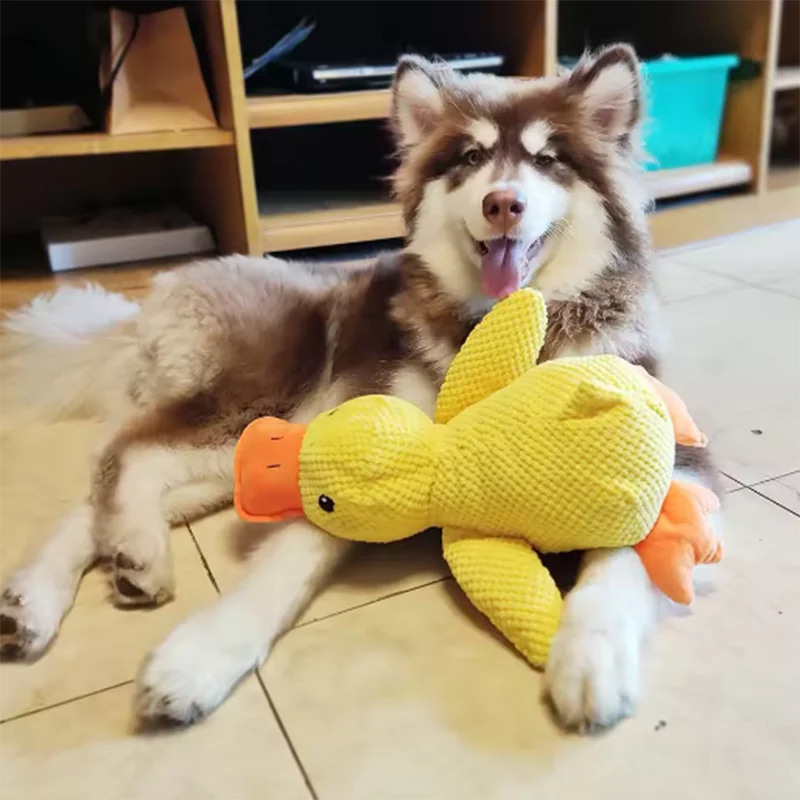 QuackBuddy™ Comfort Squeaky Duck by Scooth Pet