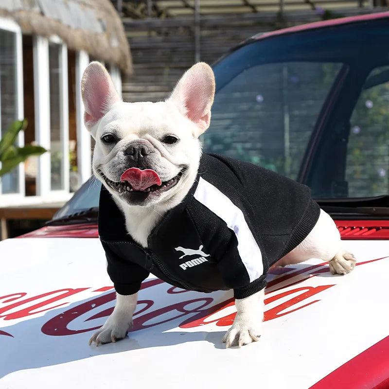 VarsityPaws™ Baseball Dog Jacket by Scooth Pet