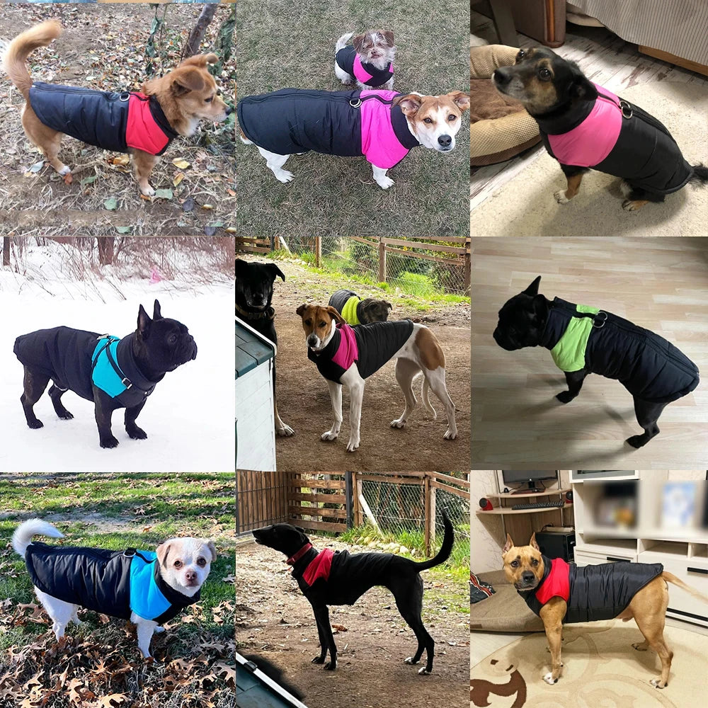 StormShield™ Waterproof Dog Jacket by Scooth Pet