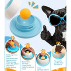 LickiBowl Slow Feeder Bowl by Scooth Pet