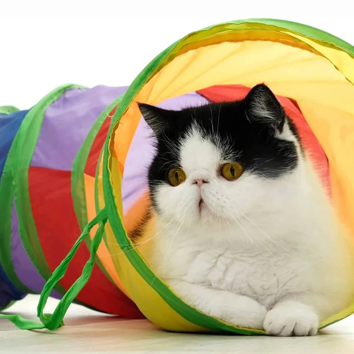TunnelPaws™ Foldable Cat Play Tunnel by Scooth Pet