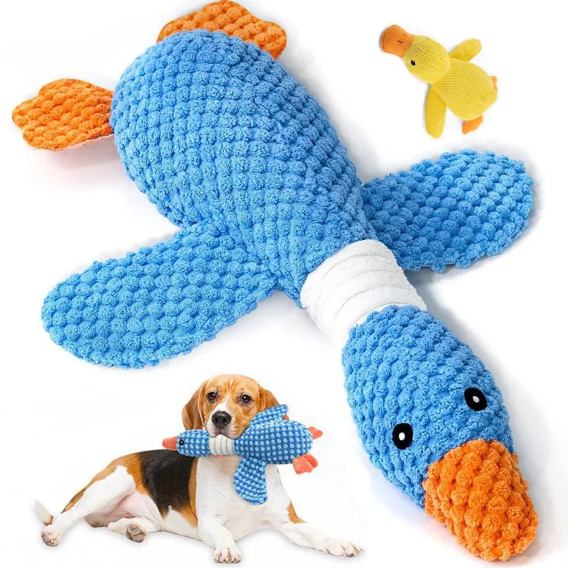 DuckBuddy™ Crinkle & Squeak Plush by Scooth Pet