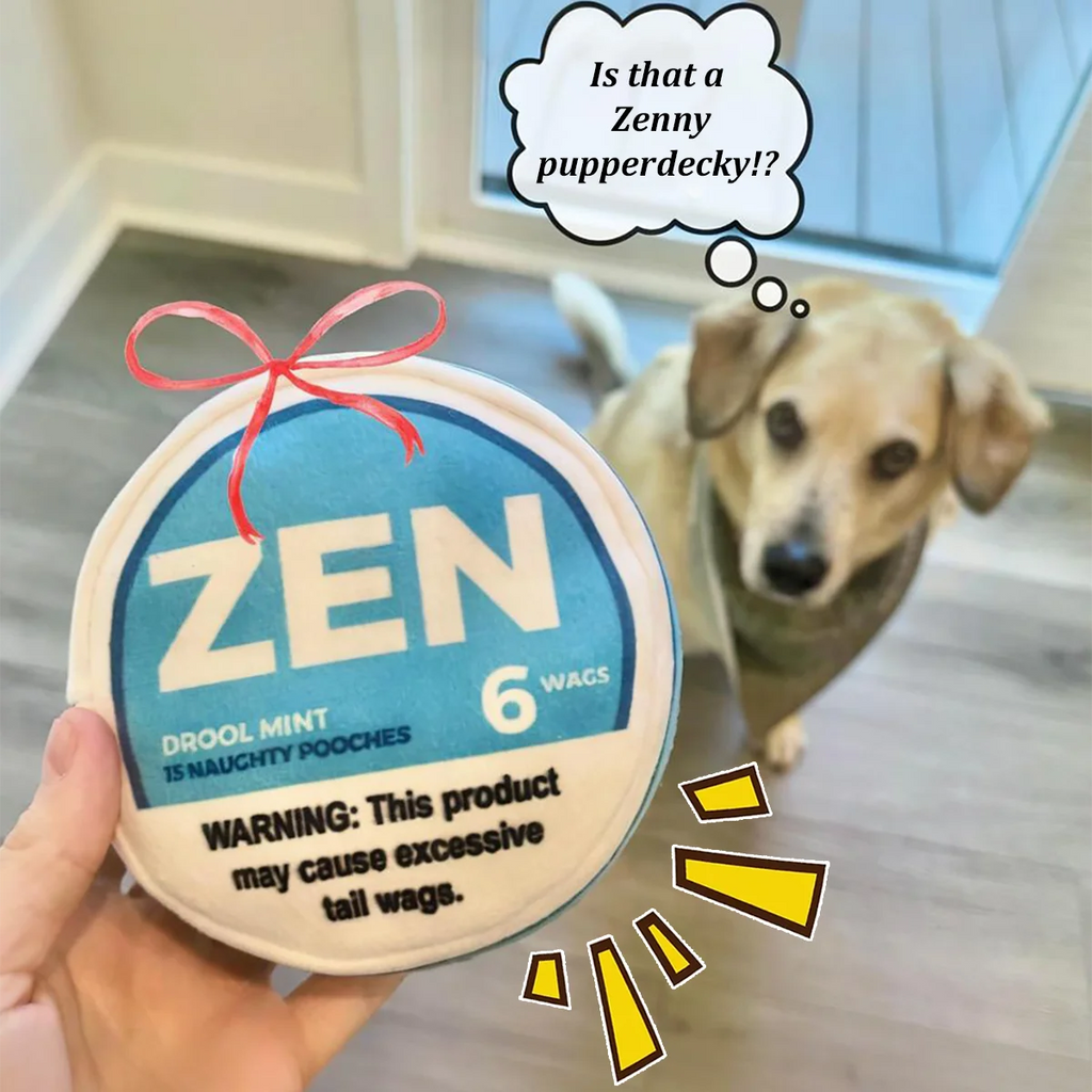 Zen Pupper Deckies Parody Dog Toy - Plush Squeaky and Crinkle Funny Dog Toy - Drool Mint