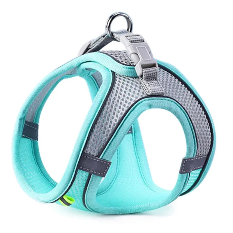 Comfort Harness
