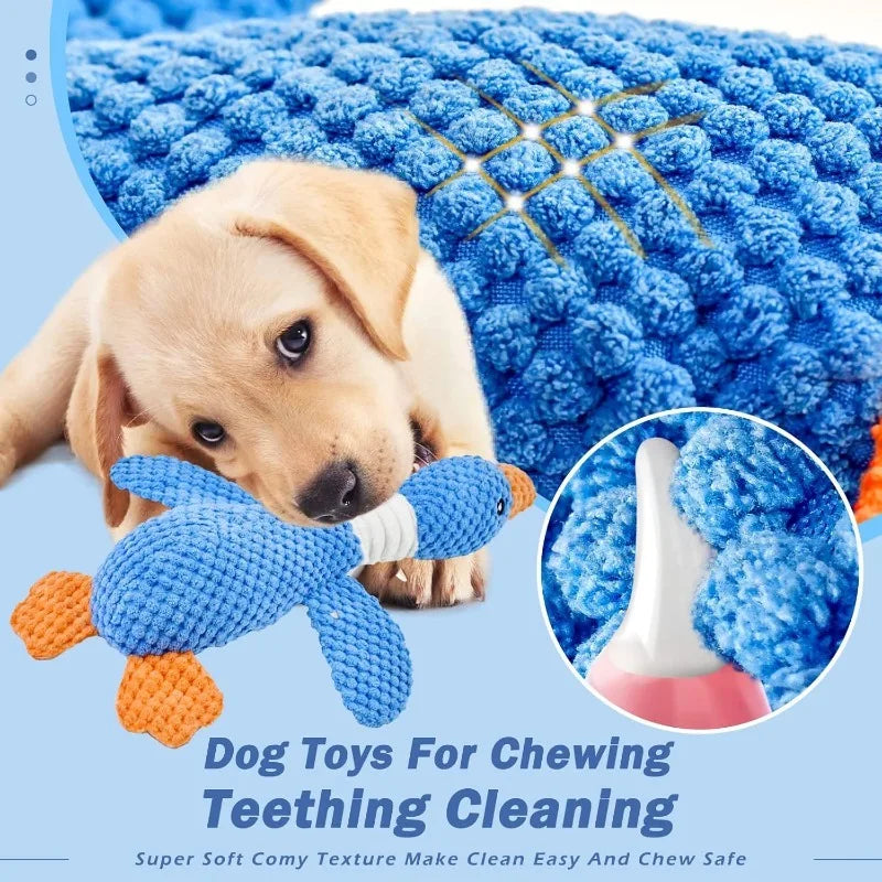 DuckBuddy™ Crinkle & Squeak Plush by Scooth Pet