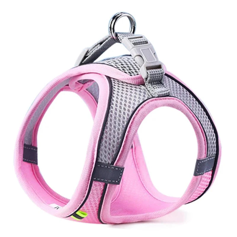 Comfort Harness