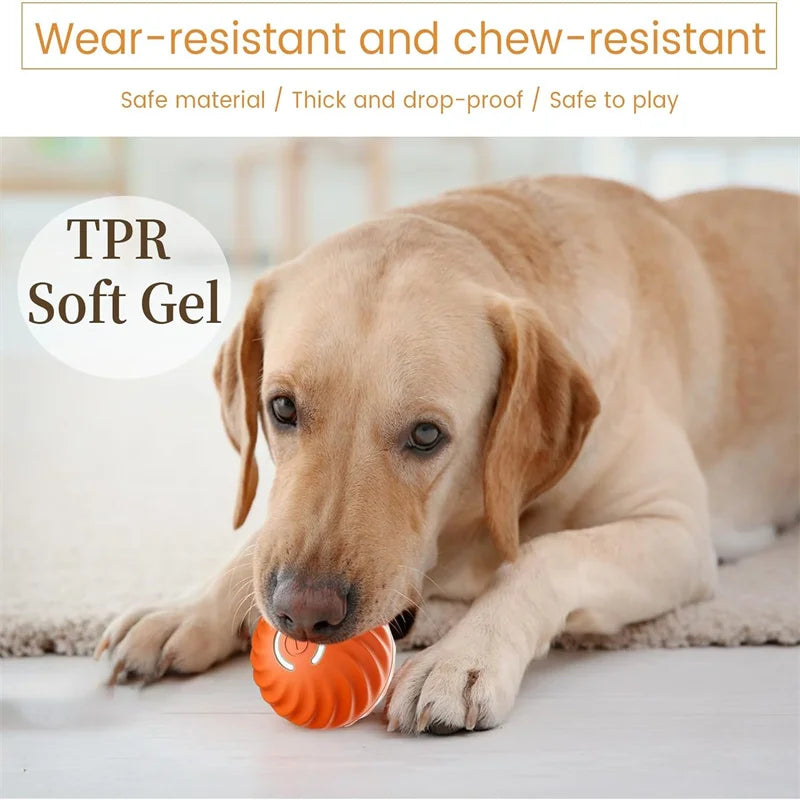 BounceBuddy™ Smart Interactive Ball by Scooth Pet