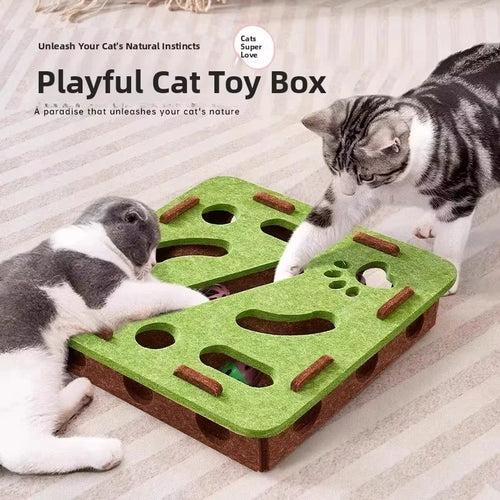 Cat Play Box