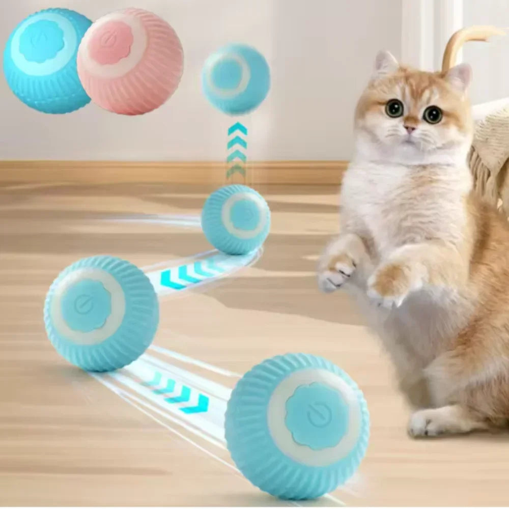 ZoomRoll™ Smart Interactive Cat Ball by Scooth Pet