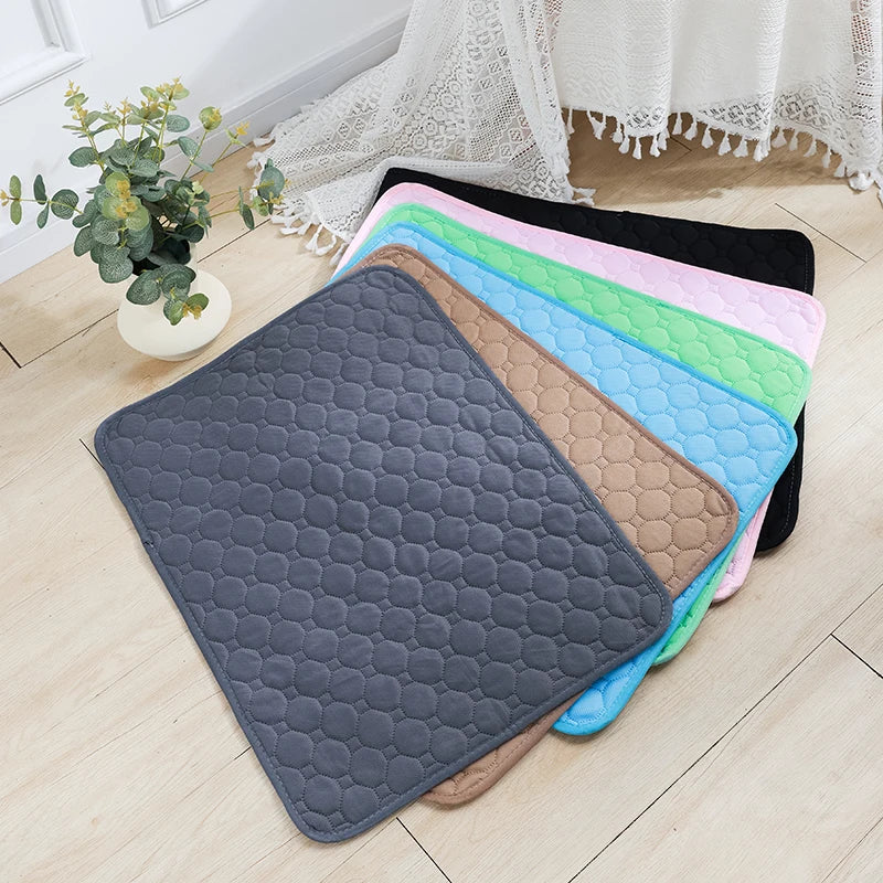 DryPaws™ Reusable Waterproof Training Pad by Scooth Pet