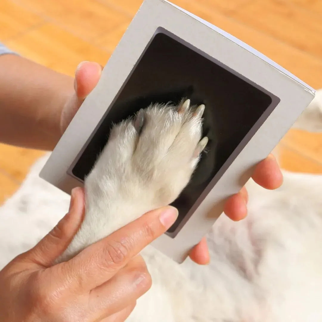 PawPrint Inkless Keepsake Kit by Scooth Pet