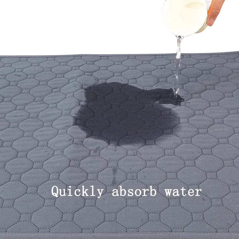 DryPaws™ Reusable Waterproof Training Pad by Scooth Pet