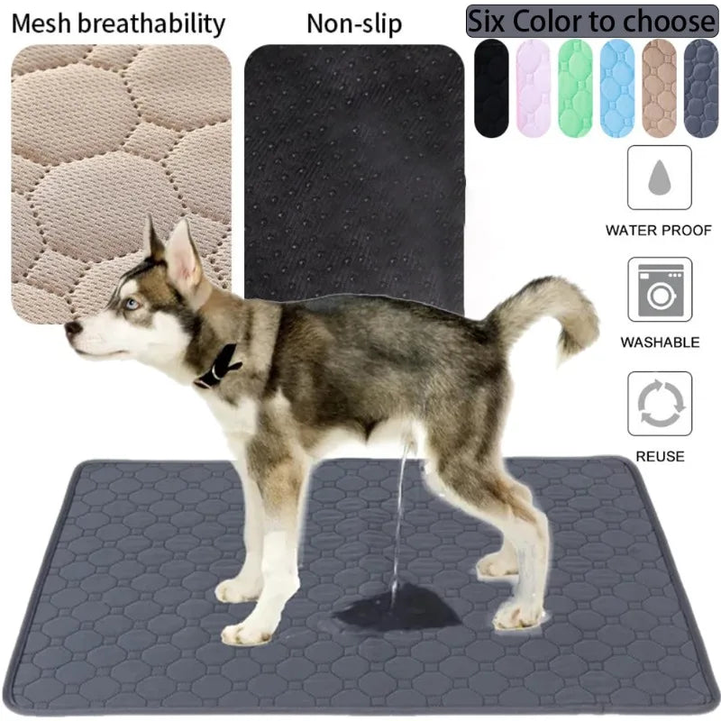 DryPaws™ Reusable Waterproof Training Pad by Scooth Pet