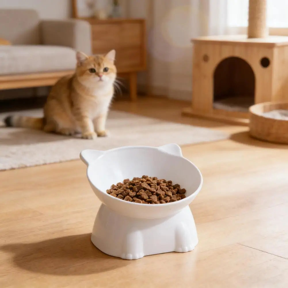 1pc WhiskerWare Elevated Cat Bowl Anti-Tip Plastic Raised Pet Feeding Dish with Tilted Edge Neck Protection Kitty Food