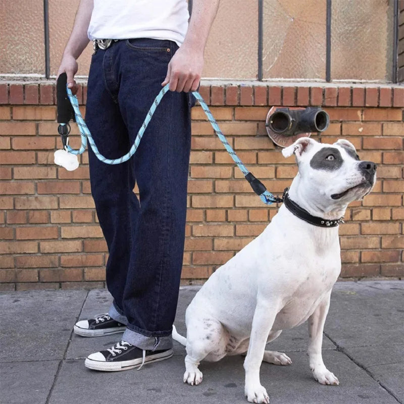 TrailGuard™ Reflective Dog Lead by Scooth Pet