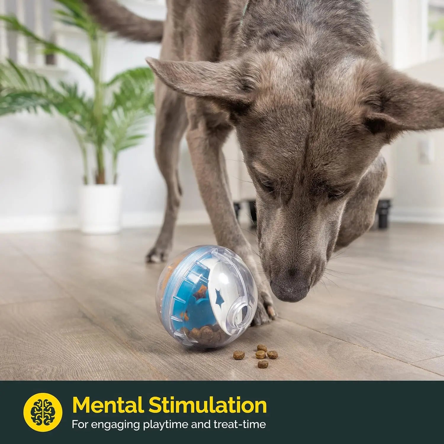 MindSnack™ IQ Treat Ball by Scooth Pet