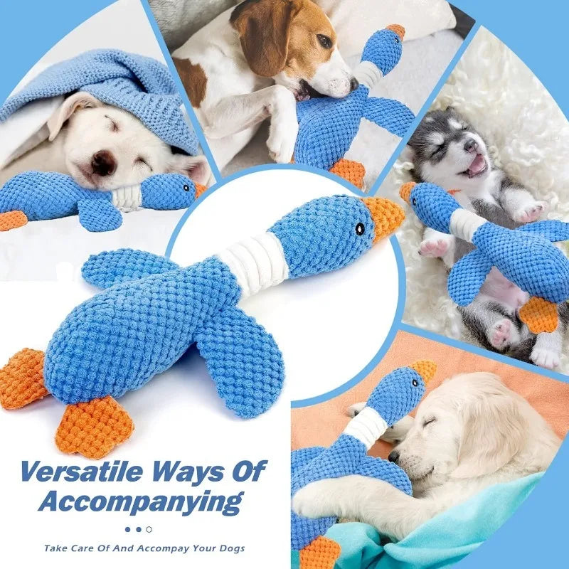 DuckBuddy™ Crinkle & Squeak Plush by Scooth Pet