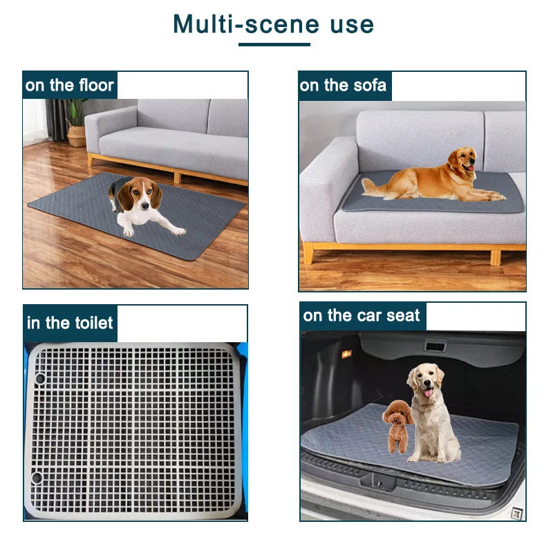 DryPaws™ Reusable Waterproof Training Pad by Scooth Pet