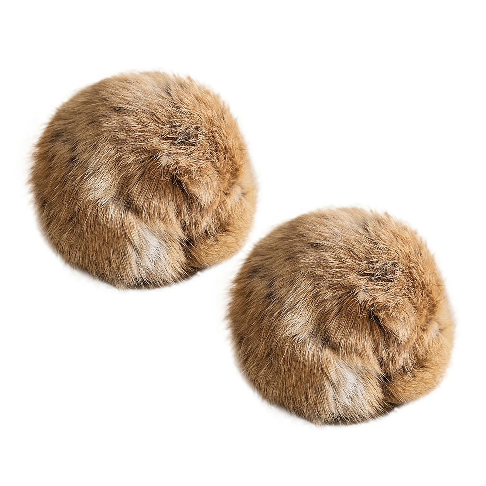 Cat Toy