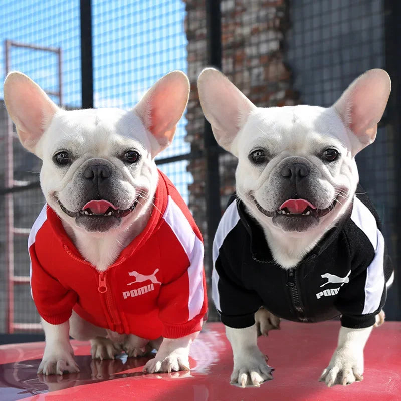VarsityPaws™ Baseball Dog Jacket by Scooth Pet