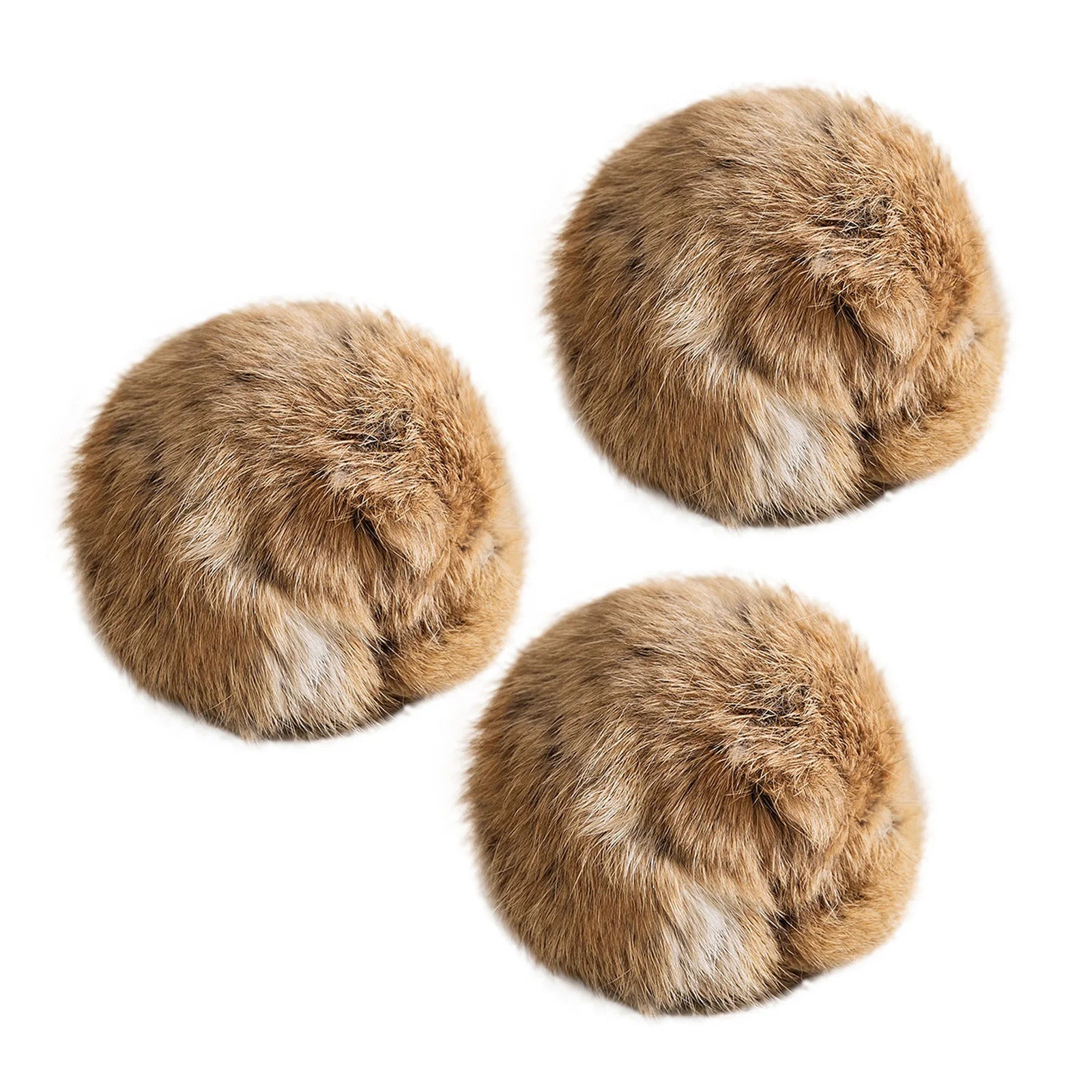 Cat Toy