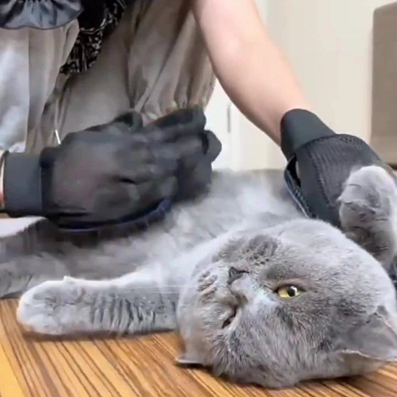 MassageGlove™ Silicone Grooming Glove by Scooth Pet
