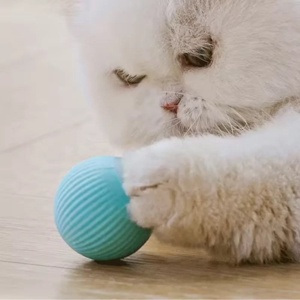 ZoomRoll™ Smart Interactive Cat Ball by Scooth Pet