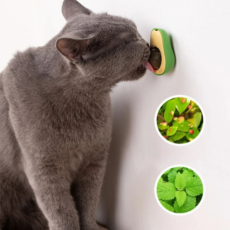 PurrMint™ Catnip Wall Ball by Scooth Pet