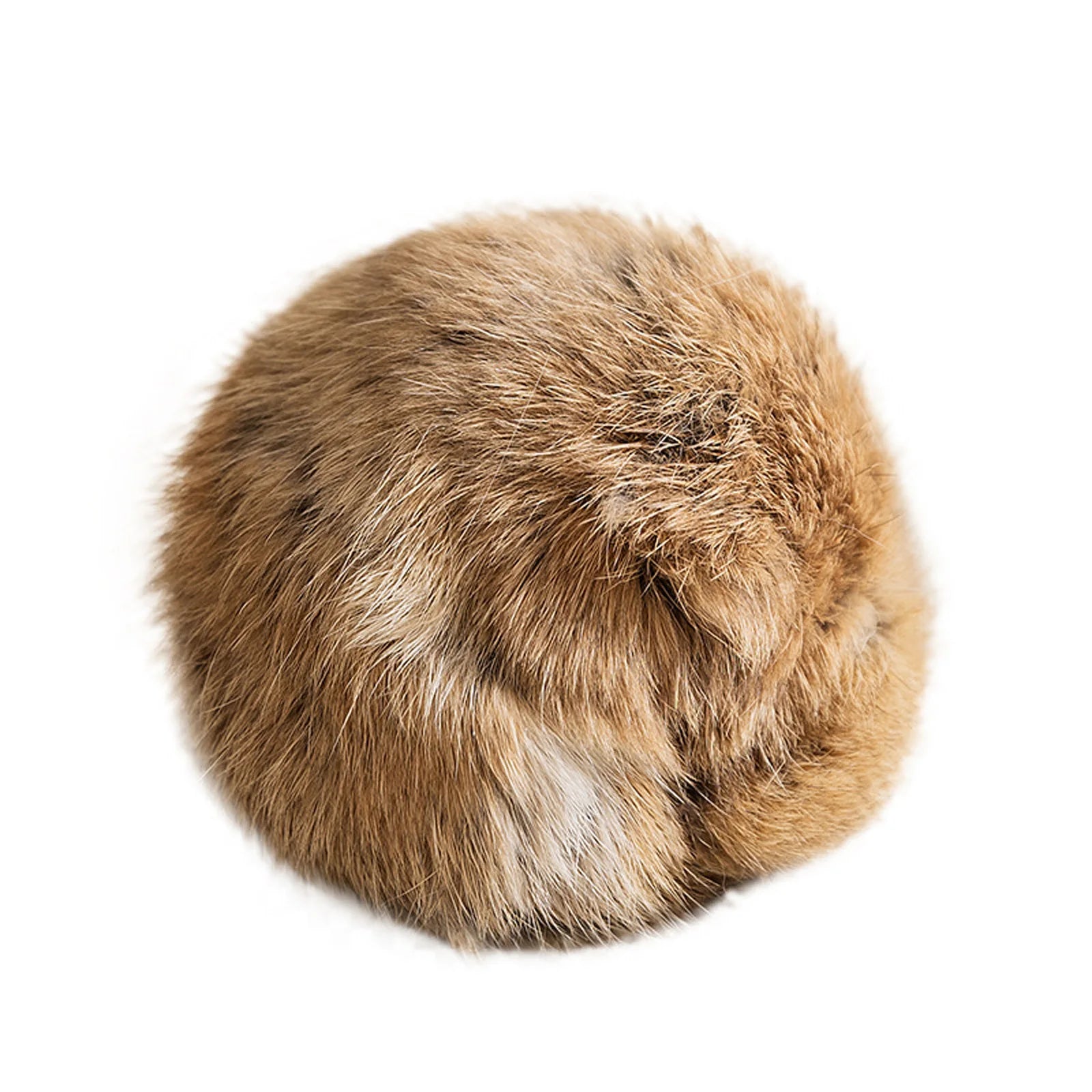 Cat Toy
